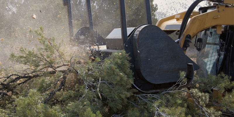 Forestry Mulching in Onalaska, Texas