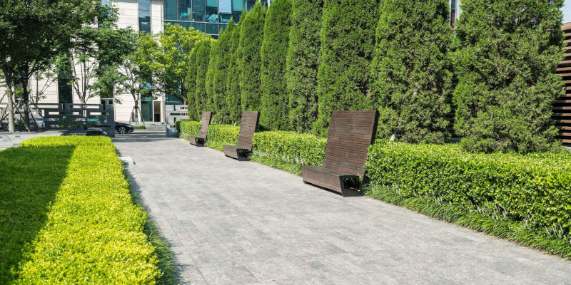 Local Landscaping Company in Shepherd, Texas