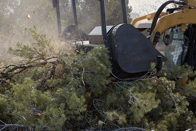 How Forestry Mulching Works