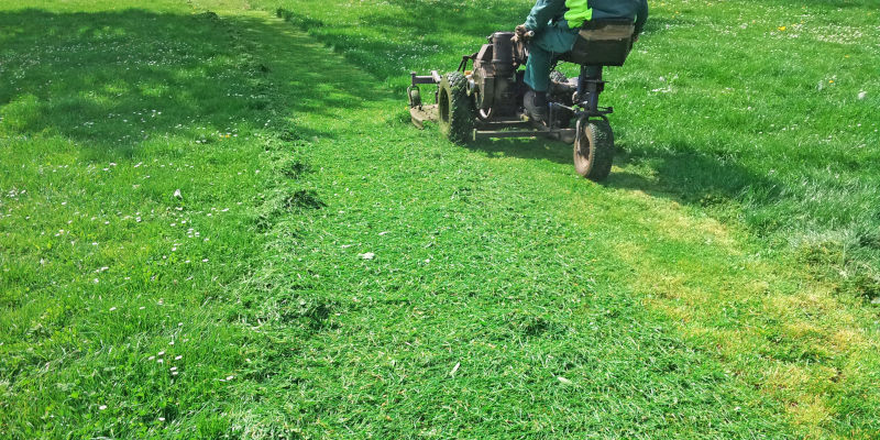 Summer Lawn Maintenance in Livingston, Texas