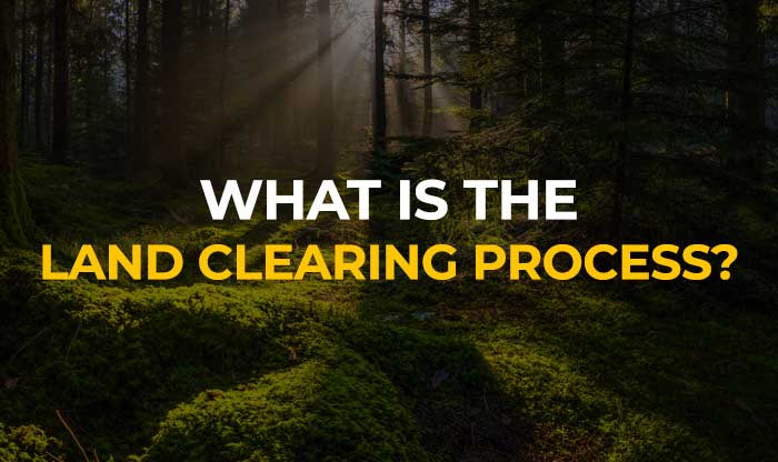 What Is the Land Clearing Process? [infographic]