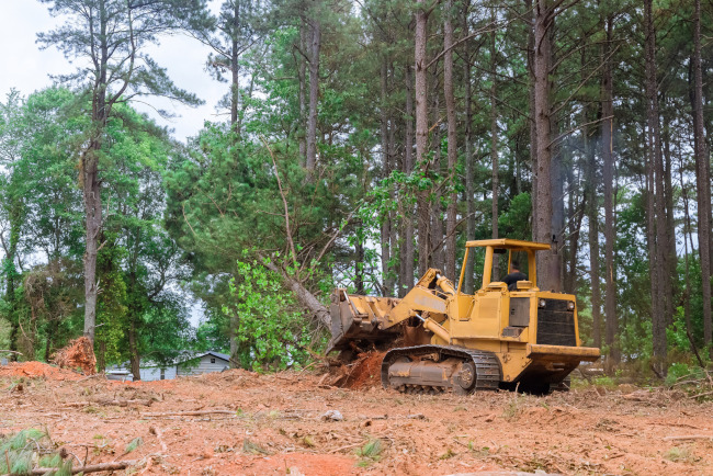 4 Hidden Benefits of Land Clearing