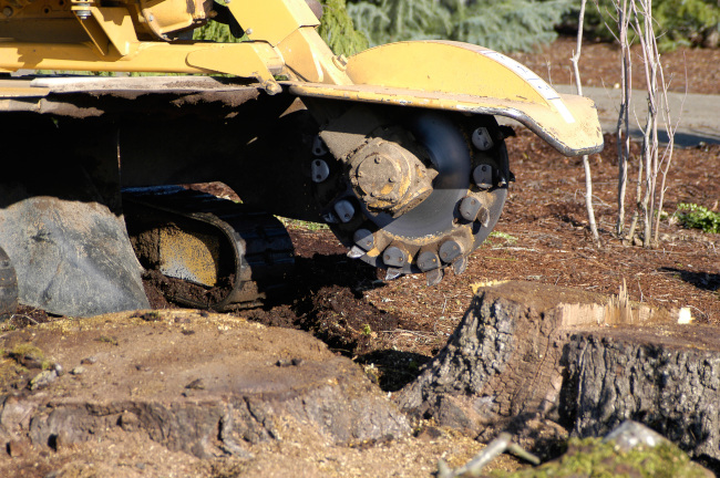 The Science Behind Stump Grinding