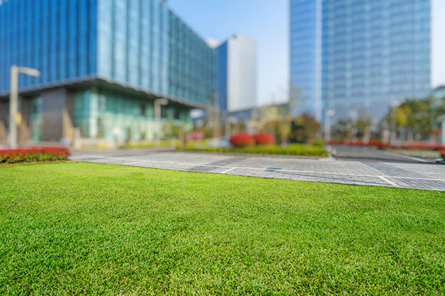 Choosing a Commercial Lawn Maintenance Provider