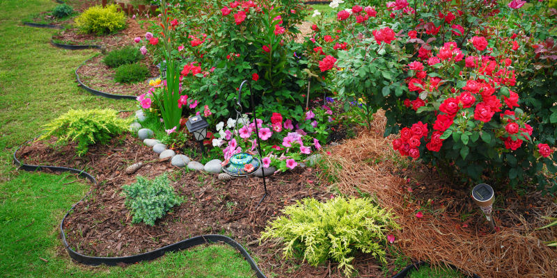 Flower Bed Maintenance in Livingston, Texas