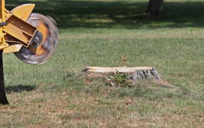 Why Stump Grinding Is a Job for the Professionals