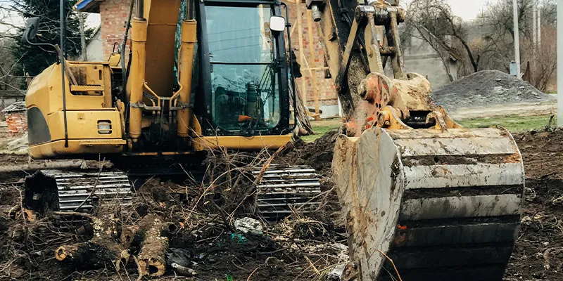 Excavating Trees in Polk County, Texas